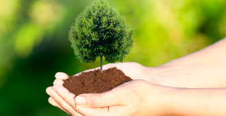 Sector agroforestal productos y maquinarias