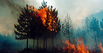 Productos y equipos de emergencia