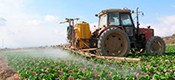 Absorbentes agricolas